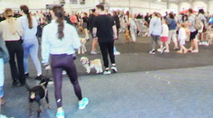 commercial cleaning team