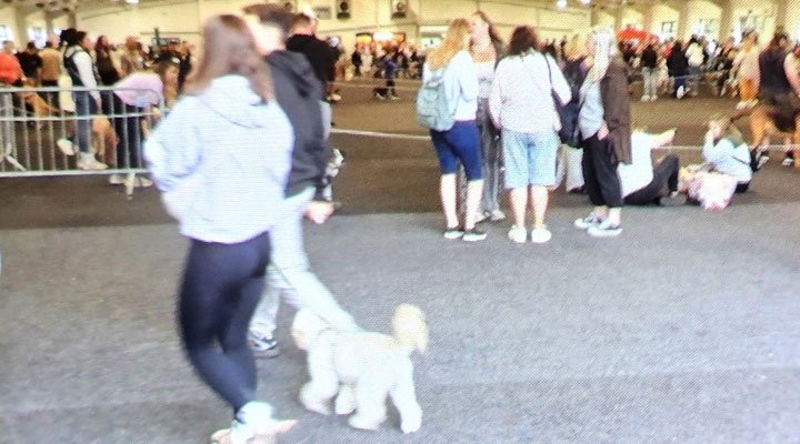 commercial cleaning team