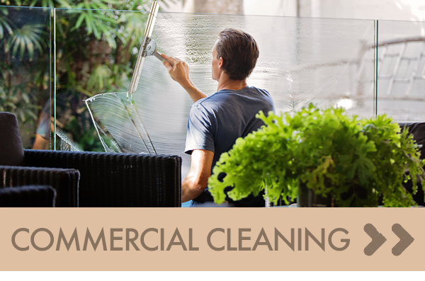 Commercial Cleaner