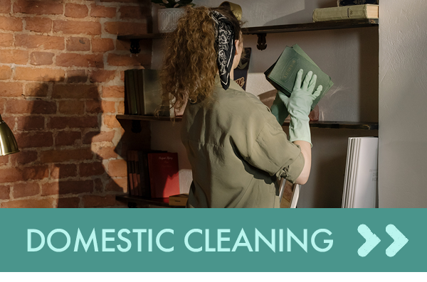 Domestic Cleaner
